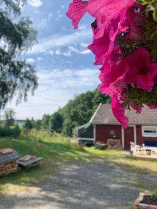 a bunch of pink flowers hanging from a tree at Riverside Bliss - Cozy Cabin near Tvedestrand with WiFi and Deck in Vegårshei +22 photos