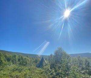 KarlsøyLávvu的树上天空闪烁的太阳