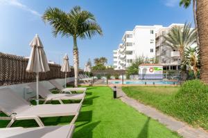 un complejo con piscina y sillas de césped en Alsol El Chaparral, en Playa del Inglés