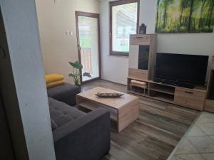 a living room with a couch and a flat screen tv at Apartment Veninsek in Luče