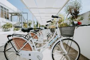 Jízda na kole v ubytování Hotel Holiday nebo okolí