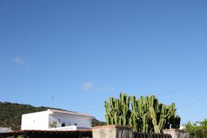 Fotografie z fotogalerie ubytování Ocean view - v destinaci Los Caños de Meca