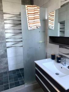 a bathroom with a sink and a shower at Évasion Tropicale à 5 min des Plages in Albion +23 photos