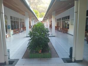 a corridor of a building with two potted plants at Hotel Wisata in Labuan Bajo