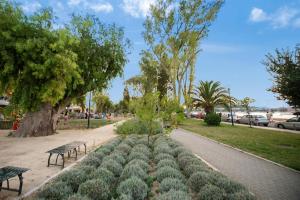 Zahrada ubytování Chrysa's apartment