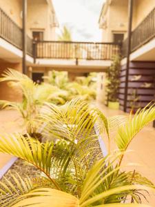 Mynd úr myndasafni af 4 - LE VACOA - CHAMBRE 4 Rdc D í Saint-Paul
