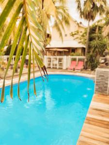 a blue swimming pool with a palm tree in the foreground at 8 - LE VACOA - CHAMBRE 8 ETG G in Saint-Paul