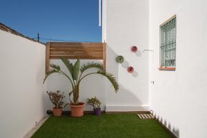 A garden outside Mi pequeño rincón