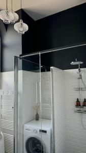 a bathroom with a washing machine in a shower at Hospice St Nicolas in Troyes +14 photos