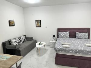 a bedroom with a bed and a couch at Apartments Ljiljanic in Budva