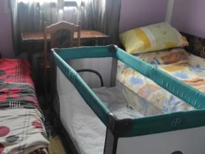 Postel nebo postele na pokoji v ubytování Vila Stanojevic3A