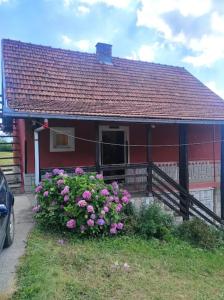 Budova, kde se prázdninový dům nachází