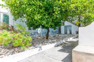 Κήπος έξω από το Portas do Castelo Apartments +38 φωτογραφίες