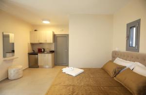 ein Wohnzimmer mit Sofa und eine Küche in der Unterkunft Beta Villas in Kýthira