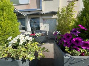 two pots of flowers in front of a building at Hôtel Gardenia Bordeaux Est in Yvrac