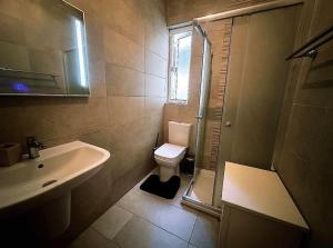 une salle de bain avec toilettes, lavabo et douche dans l'établissement Maisonette with backyard, à San Pawl il-Baħar 5 autres photos