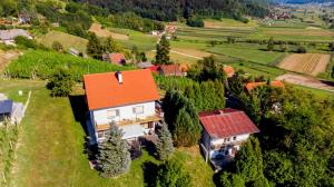 Příroda nedaleko apartmánu