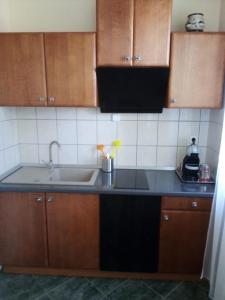 Kuchyň nebo kuchyňský kout v ubytování Apartman Ráchegy