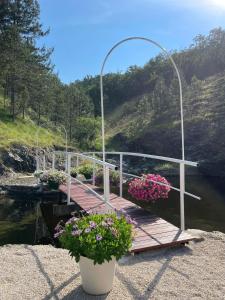 Příroda nedaleko apartmánu