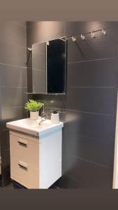 a bathroom with a sink and a mirror at Moderni rantasauna ja -mökki in Joensuu