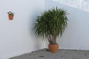 Fotografie z fotogalerie ubytování Ocean view - v destinaci Los Caños de Meca