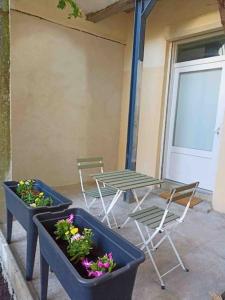 two plants and a table and chairs on a patio at #0 Appart proche du métro Robespierre et Paris 20 in Bagnolet
