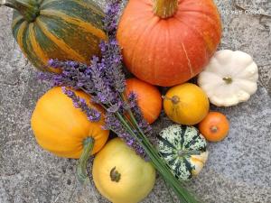 a group of pumpkins and other vegetables on the ground at Quinta do Castelo, Casa de Campo de Pedra in Reguengo Grande +42 photos