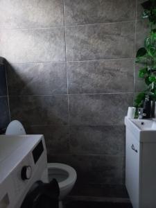 Φωτογραφία από το άλμπουμ του Cabană în mijlocul naturii σε Hondol