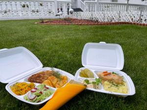 two plastic containers filled with food on the grass at Tatjanos Dvaras in Vilnius