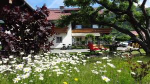 Zahrada ubytování Landhaus Gassner