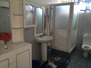 W łazience znajduje się umywalka, toaleta i prysznic. w obiekcie Studio Manguillier w mieście Trou dʼ Eau Douce