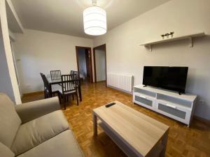 a living room with a couch and a flat screen tv at Sego Apartments II in Segovia