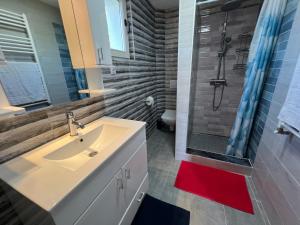 un bagno con lavandino e doccia di La Corte Delle Rose UB a Ub Altre 24 foto