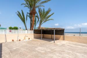 a building on the beach with a palm tree at Planta Baja La Malvarrosa in Benicarló