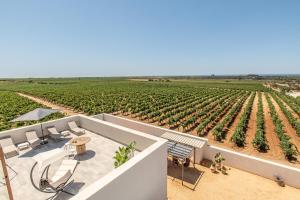 Fotografie z fotogalerie ubytování Casale Gorghi Tondi House e Vineyard v destinaci Mazara del Vallo + 70 fotografií