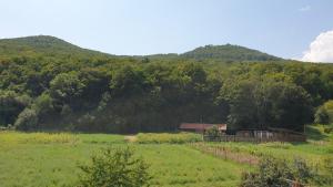 Príroda v okolí of the bed and breakfast