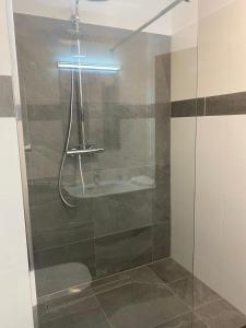 a bathroom with a shower with a glass door at Hotel Regina in Sankt Augustin
