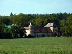 Foto de la galería de Gîte Schlitteur Et Sapiniere en Breitenbach