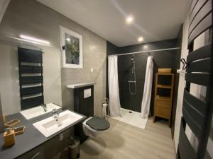 ein Badezimmer mit Waschbecken, Toilette und Dusche in der Unterkunft Gîte écologique de charme avec grand jardin, proche des Alpes Mancelles, idéal famille et amis - FR-1-410-132 in Moulins-le-Carbonnel