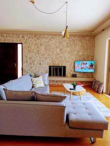 Телевизор и/или развлекательный центр в Avatonblue Villa Nafplio