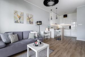 Η κουζίνα ή μικρή κουζίνα στο SuperApart Światowida apt 74