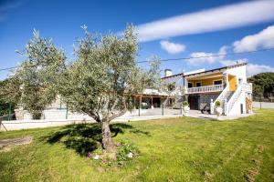 a tree in a yard in front of a house at Casa Rural Mario in Espeja