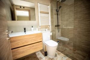 a bathroom with a toilet and a sink and a shower at Casa Rural Mario in Espeja +15 photos