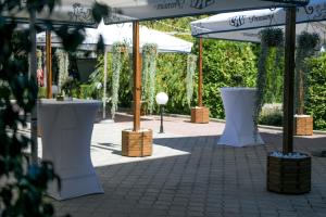 حديقة خارج Hotel Fontana