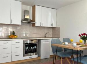 Kuchyň nebo kuchyňský kout v ubytování Holiday Home Vera