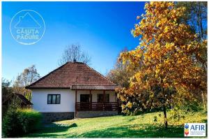 a small house on a hill with a tree at Casuta din Padure in Bodeşti