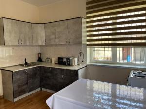 a kitchen with a sink and a counter top at Dastan in Cholpon-Ata