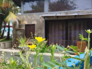 a garden with yellow flowers in front of a building at Villa Tangalle Lagoon in Tangalle