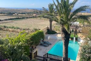 a villa with a palm tree and a swimming pool at Casa Palma Gozo in Għarb