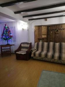 Una sala de estar con un árbol de Navidad y un sofá. en Casa Maira, en Ranca